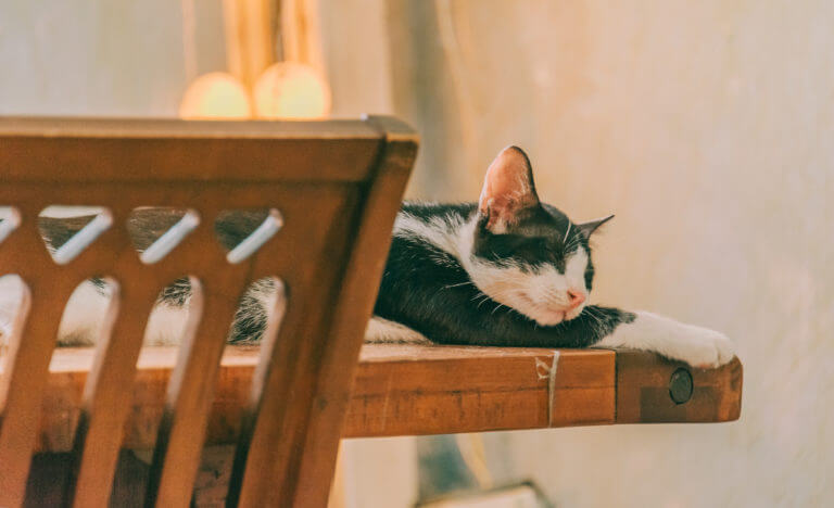 【夜眠れない…】眠れないとき必見！睡眠の質を向上させる方法7選