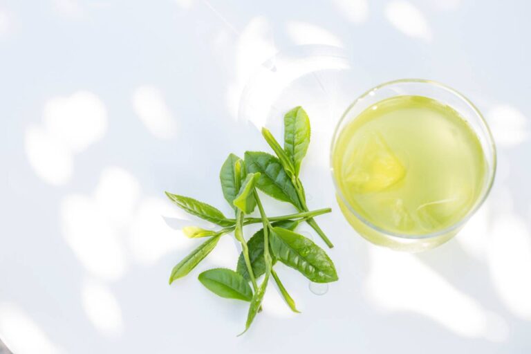 【モテドリンク！】緑茶の効果と効能を徹底解説！ダイエットから集中力の向上まで！？