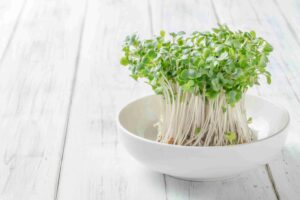 【あなたは大丈夫？】スルフォラファンは買ってはいけない？スルフォラファンの効果と最適な食べ方を紹介！